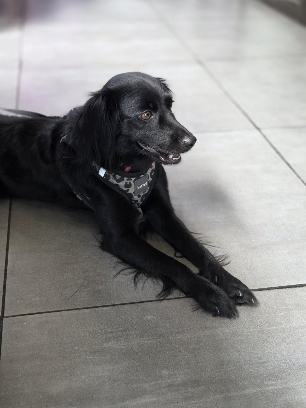 img 87afb0920e8cea76a6f86fb71501f6f6 v