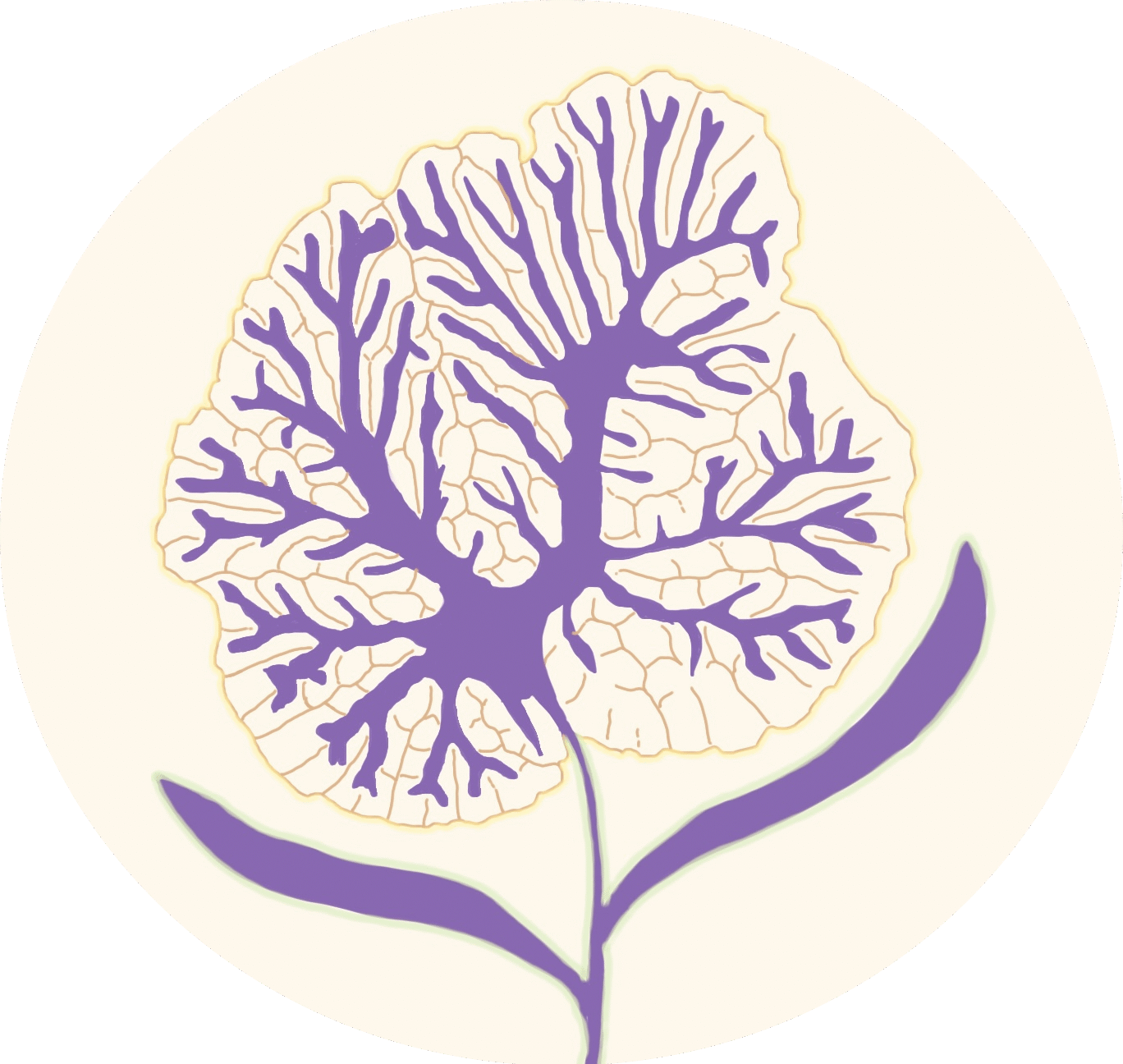 vivid warm filter round